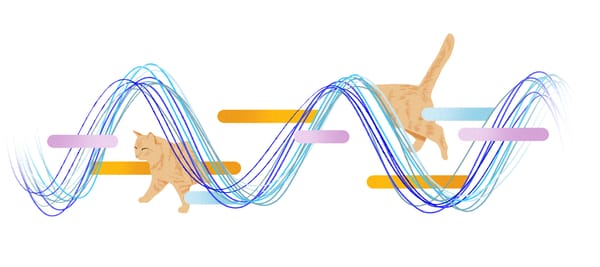 Neighborhood of the Air